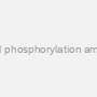 Chemical phosphorylation amidite, 5 g
